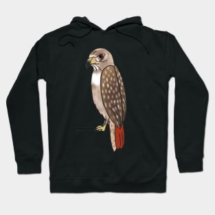 Red Tailed Hawk - Cartoon Hoodie